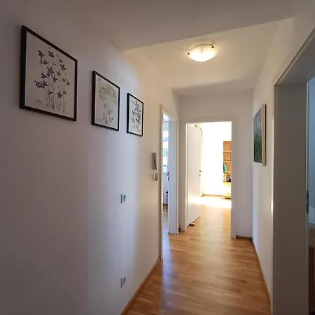 Pine Zell Am - Steinbock Appartement